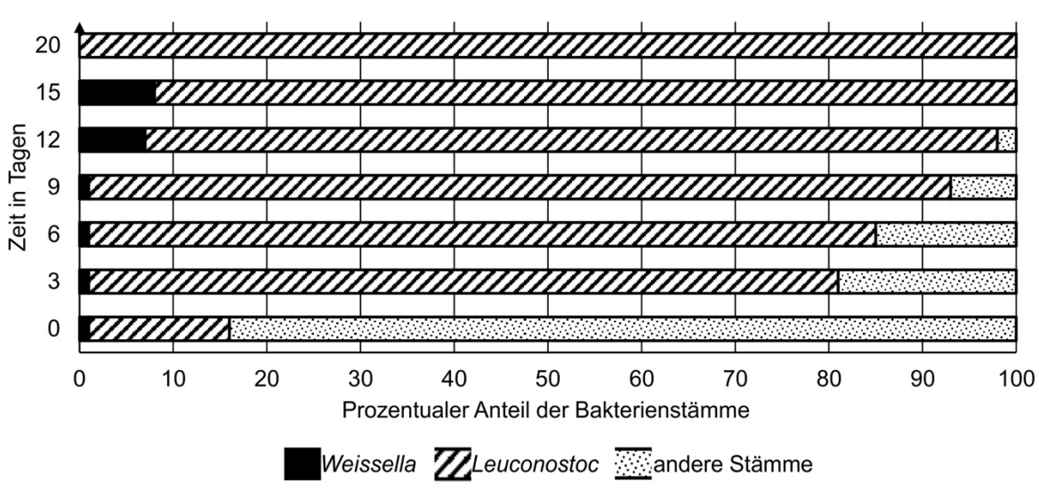 Prozentualer Anteil der Bakterienstämme in Kimchi in Abhängigkeit von der Kulturdauer